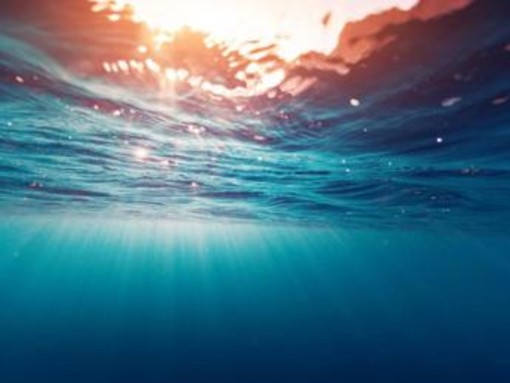 Clima, mare mai così caldo: nuovo record per la temperatura Clima, mare mai così caldo: nuovo record per la temperatura