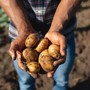 World Food Day, “Potatoes Forever!” celebra la sostenibilità