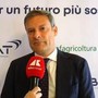 Di Paolo (Bat): "Accordi di filiera essenziali per stabilità e investimenti"