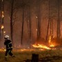 Incendi "mostruosi" in Francia e Spagna, oltre 325mila evacuati. In arrivo ondata di caldo ancora più intensa