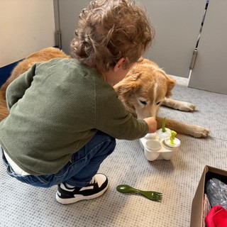 Purina e Fridàs Friends, pet therapy in Neurologia Pediatrica al Fatebenefratelli