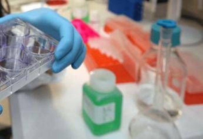 Tumori, in Europa mortalità maschile in calo del 7,8%: in Italia 15 mesi per le nuove terapie