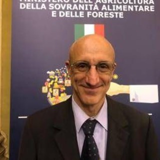 Lucano (Miele Lunigiana Dop): "Con Dop e Igp garanzia di tracciabilità" Lucano (Miele Lunigiana Dop): "Con Dop e Igp garanzia di tracciabilità"