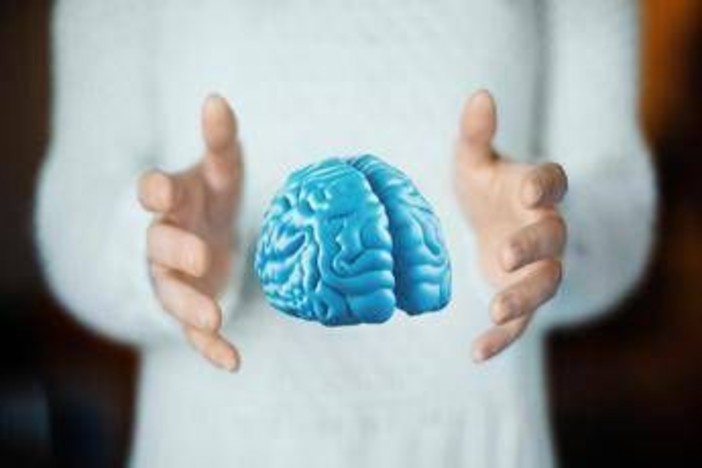 Imparare ad essere altruisti, così il cervello costruisce i comportamenti sociali