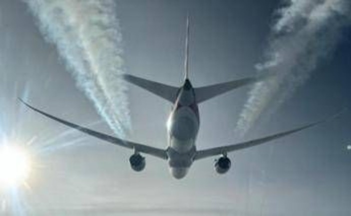 Cimici dei letti a bordo di un aereo proveniente dall'Australia, volo Qantas fermato a Fiumicino: cos'è successo Cimici dei letti a bordo di un aereo proveniente dall'Australia, volo Qantas fermato a Fiumicino: cos'è successo