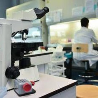 Alzheimer, ecco le cellule che possono 'pulire' il cervello: lo studio