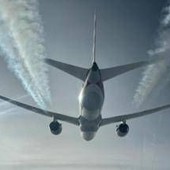 Cimici dei letti a bordo di un aereo proveniente dall'Australia, volo Qantas fermato a Fiumicino: cos'è successo Cimici dei letti a bordo di un aereo proveniente dall'Australia, volo Qantas fermato a Fiumicino: cos'è successo