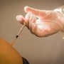Vaccini, Falcone (Simit): "Evitano antibiotici inutili in 50-75% casi di infezione da Rsv" Vaccini, Falcone (Simit): "Evitano antibiotici inutili in 50-75% casi di infezione da Rsv"