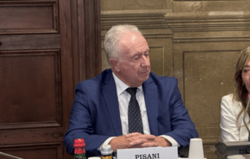 Tumore rinofaringeo, Pisani (Ailar): "Necessari percorsi multidisciplinari e centralità del paziente" Tumore rinofaringeo, Pisani (Ailar): "Necessari percorsi multidisciplinari e centralità del paziente"