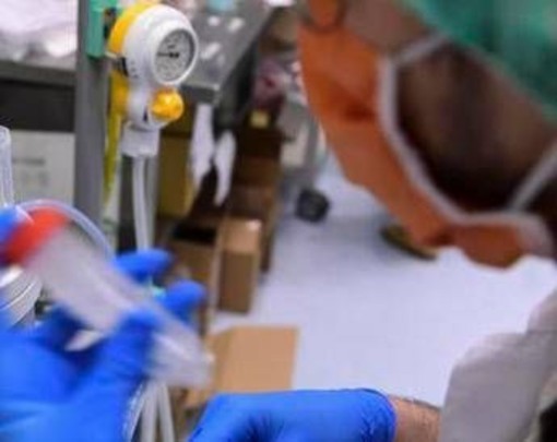 Batterio mangiacarne, l'allarme dell'agenzia Usa Cdc: &quot;Fino a 200 casi l'anno, 1 su 5 mortale&quot;