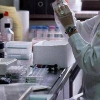 Tumori, studio apre a vaccino terapeutico universale a mRna