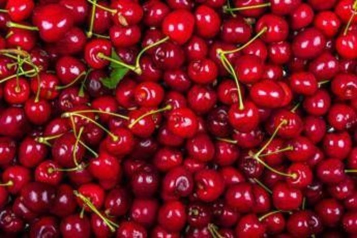 La ciliegia e le qualità 'nascoste', Calabrese: "Anche il gambo fa bene"