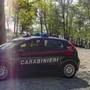 Pavia, cadavere di una ragazza trovato nei campi