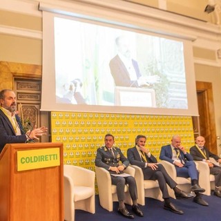 Rapporto Maciste, il mercato illecito del tabacco si sposta online e cambia volto