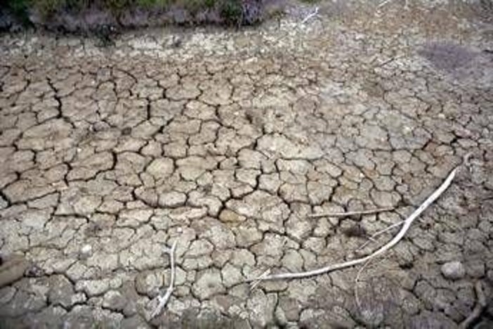 Clima, allarme Onu: "Terra in zona pericolo. El Niño sta assumendo proporzioni enormi"