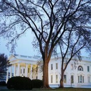 Usa, camion sfonda transenne Casa Bianca: nessun ferito, autista arrestato