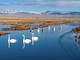 Cina, un piano per rendere gli ecosistemi più resilienti entro il 2030 Cina, un piano per rendere gli ecosistemi più resilienti entro il 2030
