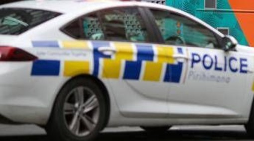 Fabergé di James Bond inghiottito da un ladro recuperato in Nuova Zelanda Fabergé di James Bond inghiottito da un ladro recuperato in Nuova Zelanda