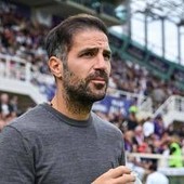 Serie A, oggi Torino-Como: orario, probabili formazioni e dove vederla Serie A, oggi Torino-Como: orario, probabili formazioni e dove vederla