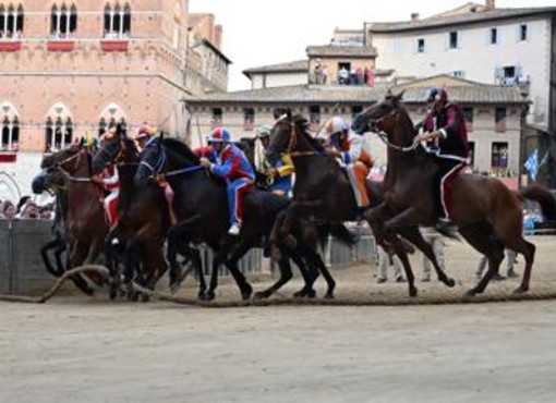 Palio di Siena, oggi la corsa dopo il rinvio: tutte le tappe della giornata, dalla pista alla 'conchiglia' Palio di Siena, oggi la corsa dopo il rinvio: tutte le tappe della giornata, dalla pista alla 'conchiglia'