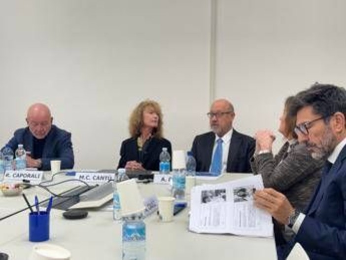 Reumatologi, al Congresso Sir terapie che regolano il sistema immunitario Reumatologi, al Congresso Sir terapie che regolano il sistema immunitario