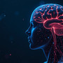 Estate, i consigli dei neurologi per la salute del cervello in vacanza