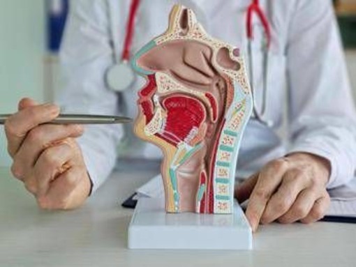 Tumore corde vocali, trovata la 'scintilla' che lo rende aggressivo e invasivo