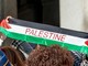 Proteste pro Gaza, anche in Italia manuale della guerriglia negli atenei
