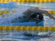 Italia d’argento ai Mondiali di nuoto con la 4×100 sl maschile