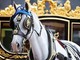 In pensione Tyrone, il cavallo più amato dalla regina Elisabetta