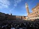 Palio Siena, la corsa dell'Assunta accende la città. Leocorno e Civetta favorite