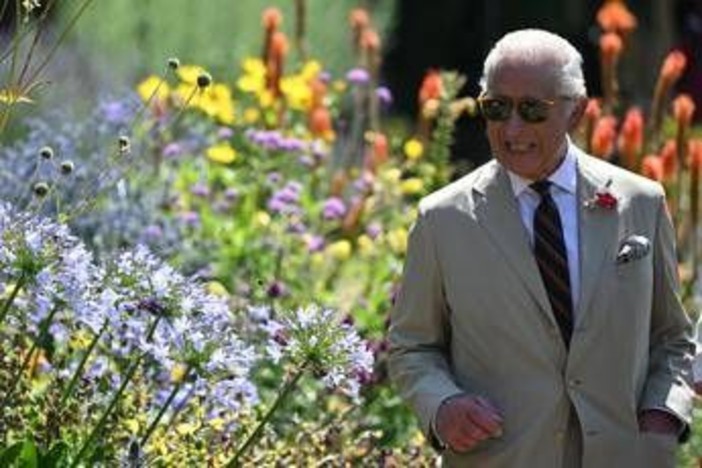 Undici giardinieri su 12 hanno lasciato Highgrove House: &quot;Re Carlo dispotico&quot;