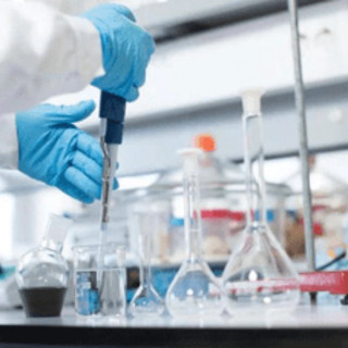 Ricerca: Fondazione Veronesi e Ficog, bando fino a 1 milione di euro per cancro al pancreas Ricerca: Fondazione Veronesi e Ficog, bando fino a 1 milione di euro per cancro al pancreas