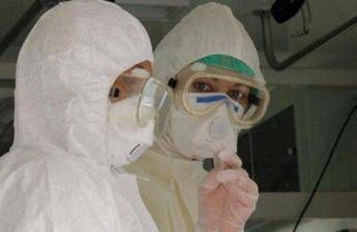 Virus Shamonda, Lopalco: "È favorito da crisi climatica, svegliamoci" Virus Shamonda, Lopalco: "È favorito da crisi climatica, svegliamoci"