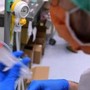Batterio mangiacarne, l'allarme dell'agenzia Usa Cdc: &quot;Fino a 200 casi l'anno, 1 su 5 mortale&quot;