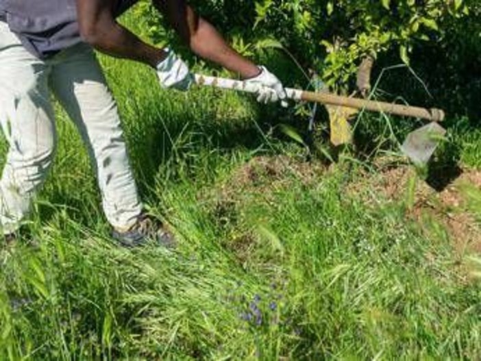 Caldo, Rebuzzi: &quot;Può uccidere, impedire lavoro all'aperto nella morsa dell'afa&quot;