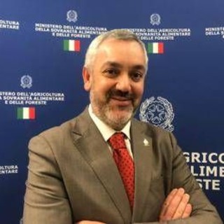 Ballinari (Miele Varesino Dop): "Dieci anni di lavoro per riconoscimento dop" Ballinari (Miele Varesino Dop): "Dieci anni di lavoro per riconoscimento dop"