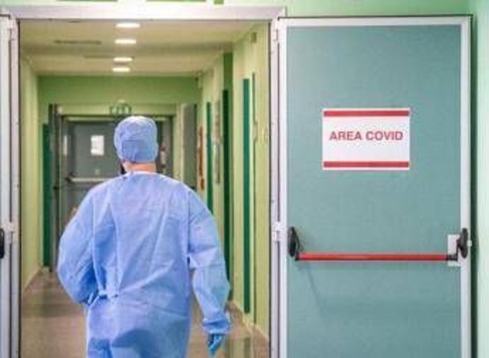 Sei anni fa l'emergenza Covid, l'esperta Oms: "Ecco cosa ci ha insegnato" Sei anni fa l'emergenza Covid, l'esperta Oms: "Ecco cosa ci ha insegnato"