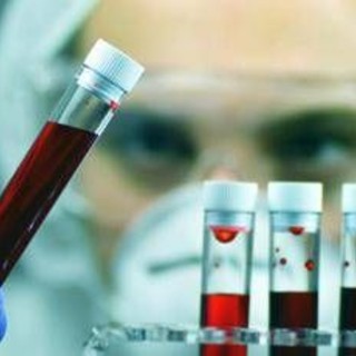 Giornata Ail, con ricerca e cura a fianco dei pazienti con neoplasie del sangue