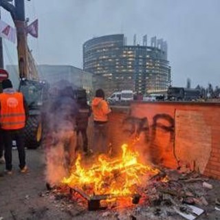 Ue-Mercosur, il Parlamento Europeo rimanda l'accordo alla Corte di Giustizia Ue-Mercosur, il Parlamento Europeo rimanda l'accordo alla Corte di Giustizia