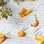 Lettera d'addio all'Elba... di 29 anni fa: "Non ci vedremo più amica mia" Lettera d'addio all'Elba... di 29 anni fa: "Non ci vedremo più amica mia"