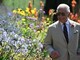 Undici giardinieri su 12 hanno lasciato Highgrove House: &quot;Re Carlo dispotico&quot;