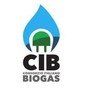 Energia, Cib presenta a Biogas Italy report sul potenziale produttivo di biometano