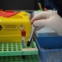 Sanità, nuovo tariffario, Medicina di laboratorio: "Oltre 70% scelte cliniche dipende da analisi"