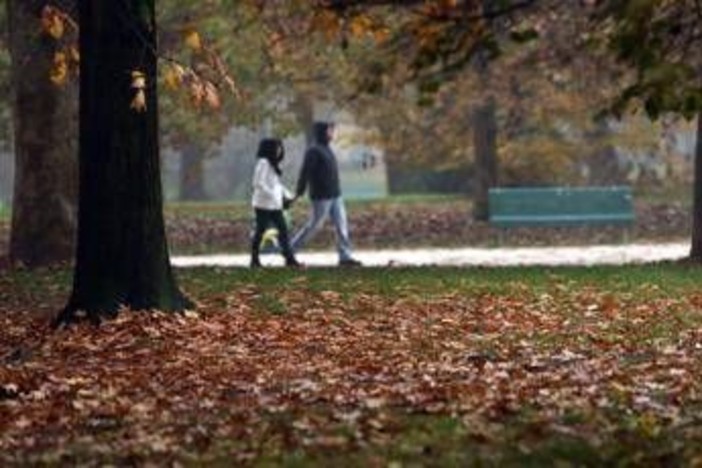 Sole e caldo anomalo fino a 20°C, poi cambia tutto: quando arriva il freddo Sole e caldo anomalo fino a 20°C, poi cambia tutto: quando arriva il freddo