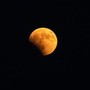 Eclissi lunare del 28 agosto, nessun rischio per gli occhi: ecco quando e dove vederla Eclissi lunare del 28 agosto, nessun rischio per gli occhi: ecco quando e dove vederla