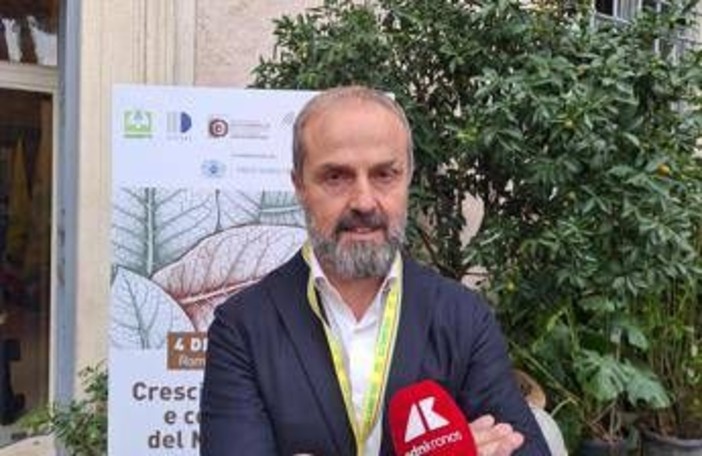 Tabacco, Masiello (Unitab Europa): &quot;Filiera italiana modello vincente da tutelare&quot;